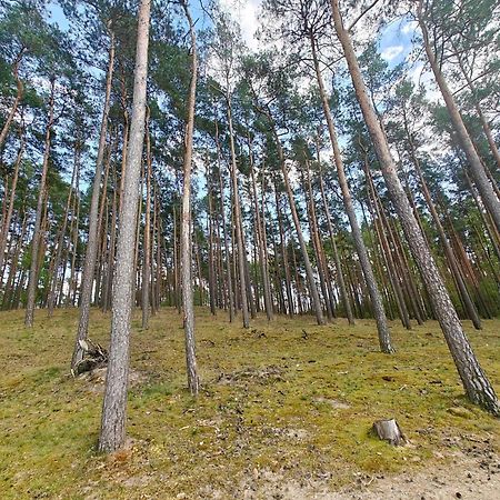 Lesna Ostoja W Centrum Puszczy Nadnoteckiej Otoczona 3 Jeziorami Miedzychod エクステリア 写真