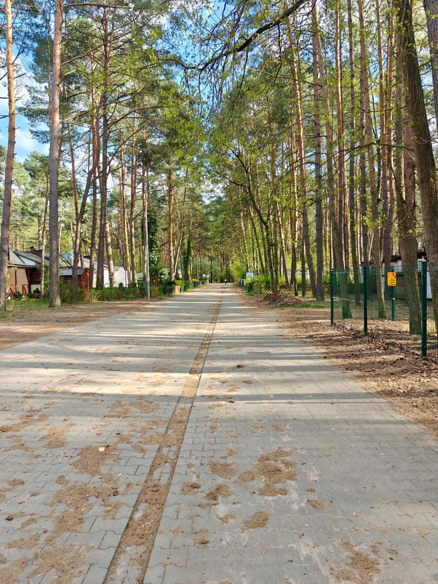 Lesna Ostoja W Centrum Puszczy Nadnoteckiej Otoczona 3 Jeziorami Miedzychod エクステリア 写真